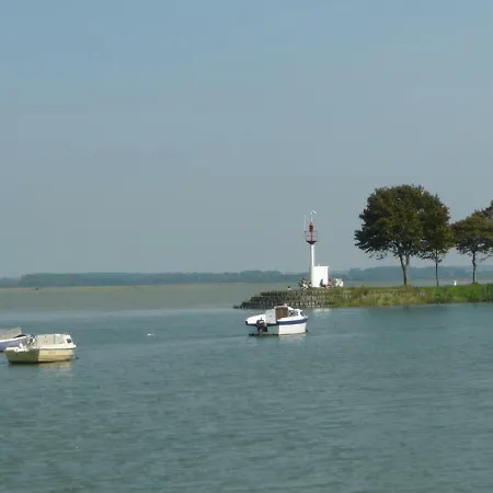 Rose En Baie De Somme * Nouvion-en-Ponthieu